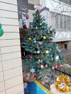 IMG20250101144700.jpg
