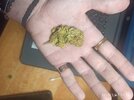 IMG_20250117_121302.jpg