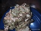 IMG_20250224_154845.jpg