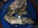 IMG_20250224_154839.jpg