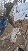20250311_161659.jpg