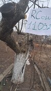 20250311_161711.jpg