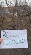 20250311_162047.jpg