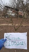 20250311_170148.jpg