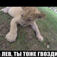 дерзкий дупломет