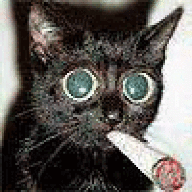 SmoKINGsmokI