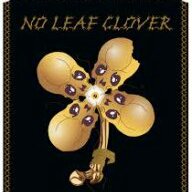 No leaf clover