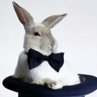 Rabbit-Jr