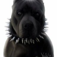 Slepp_Dog's