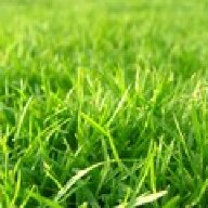 Store manager grass