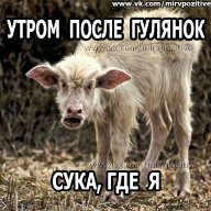Segga