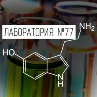 изпалаты6