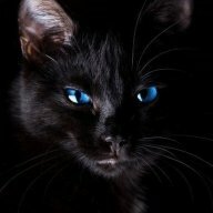 Котэ