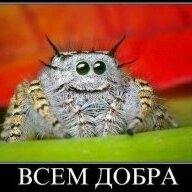 Tina.gramrc