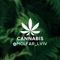 Molfar_lviv