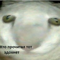 GabziXXX