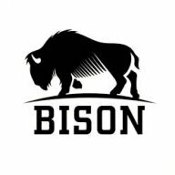 Bison