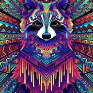 Raccoon
