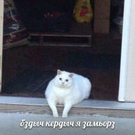coldstory