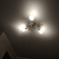 Maxim_1234