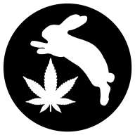 Buds_Bunny