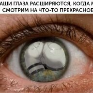Mad_Max_Fallout