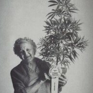 granny_nana