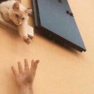 meowewu