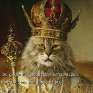 very_nice_king