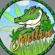 Mellow
