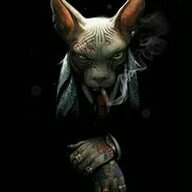 Sergeis