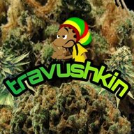 TravushkinOD