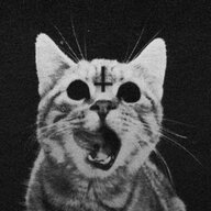 catsbro