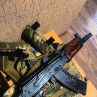Rex_sas_ter