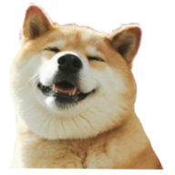 Mr.Yao