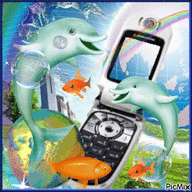 NODROG