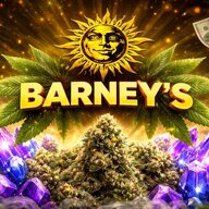 Barney.s
