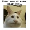 mers_benz