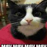 yungbruh