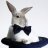 Rabbit-Jr