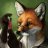 SENTRY FOX