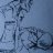 Vove