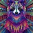 Raccoon