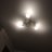 Maxim_1234