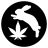 Buds_Bunny