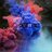 chemi_fast