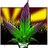 Captaincannabis