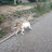 MeRkUrY_113