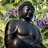 BBUDDA_niko