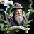 HogwartsStore